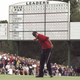 Illustration for article titled What Happens To Golf After Tiger?
